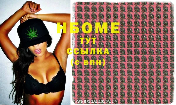 ешки Бородино