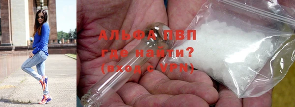 ешки Бородино