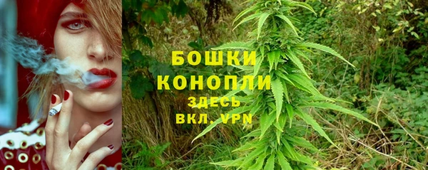 ешки Бородино