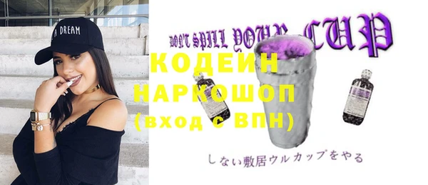 ешки Бородино