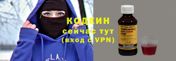 ешки Бородино