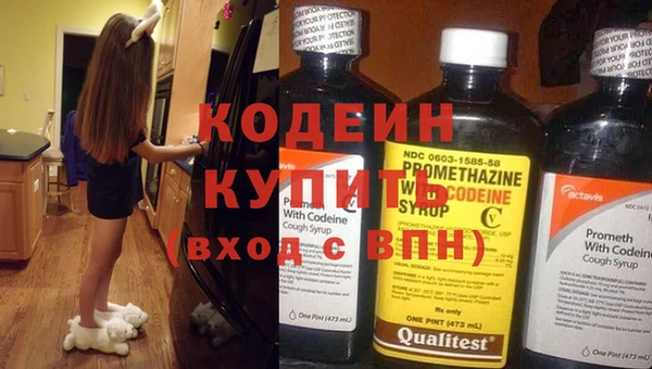 ешки Бородино