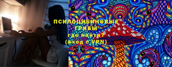 ешки Бородино