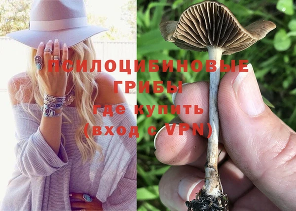 гидропоника Бугульма