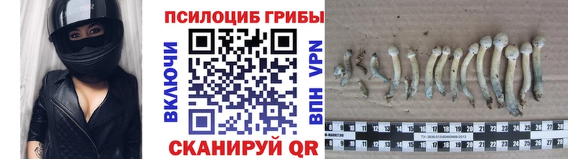 купить закладку  МЕГА как зайти  Псилоцибиновые грибы прущие грибы  Константиновск 